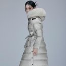 페트레이 카카오 검색결과