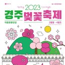 [올마이스] 2023 경주벚꽃축제 이미지