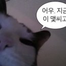 김밥이놈 이미지