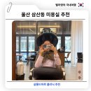 로하 살롱