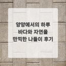 바다와 하루 | 양양에서의 하루 바다와 자연을 만끽한 나들이 후기