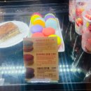 샹제리제 | 바닐라 딜라이트 뚱카롱 후기 할리스 선릉샹제리제점