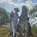 두루미자는버들골마을 | 소나무재선충으로부터 앵무산 살려주세요