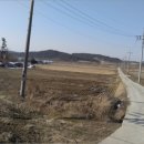 광산구-141 네이버블로그