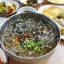 콧등치기