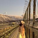 설산농장2 | [연차 6일 내고 떠나는 8박 10일 유럽 여행 9] 노르웨이 트롬쇠에서의 2박 3일 조각 모음