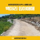 천사땅공인중개사사무소 이미지