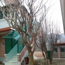 산들민박 이미지