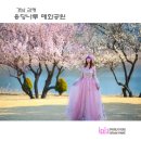 꽃나루공원 이미지