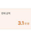 만냥하우스 - 서구 도마2길 25 | 재능냥비 블로그 서바이버 재하하우스 & 냥이유 강의 후기