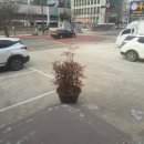 목사골 농장 이미지