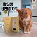이차 | 왓더펫 네코이차 집사용 핸드크림 후기 : 캣닢 마따따비 핸드크림