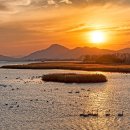 하단동1212 이미지