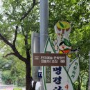 경남 하동군 쌍계사 십리벚꽃길~목통골 트레킹/2023.7.2.일 이미지
