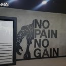 강릉헬스 몬스터짐 포남점 24시 이미지