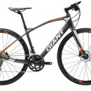 자이언트 피트니스 이미지