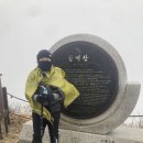 중선베스트