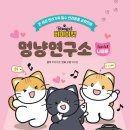 혼자멍냥 이미지