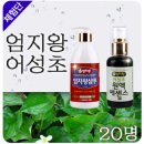 [발표] 유기농으로 만들어진 바디케어의 모든것! 어성초 체험단을 발표합니다. (20명)