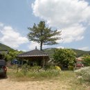 계룡산축산