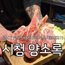 양소록 이미지