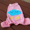 스타일 멍멍 이미지