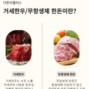 (주)자연플러스한우 - 2949 | 무항생제 한돈 추천, 더한우플러스 국내산 한돈 손질육으로 김치찜 만들어본 후기