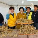 동경기인삼농협 이천인삼판매센터 이미지