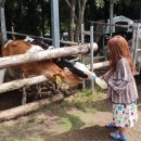 소우목장 이미지