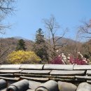 선암사 이미지