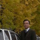 카스타운 이미지