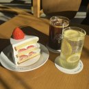 교동목욕탕 | 강릉 교동 감성카페 추천 코버트 카페 셀렉샵 후기