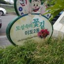 정든장 이미지