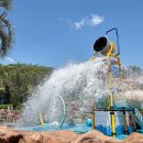 롯데호텔제주 이미지