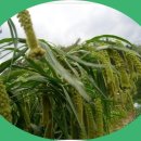 청등농장 이미지