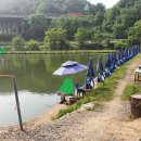 송라문구