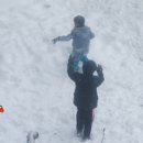 네일세상 이미지