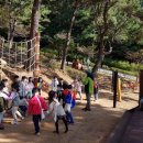 계룡산유아숲체험원 이미지