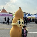 장단콩 두부특화거리 | 파주 장단콩축제 2025 다녀와본 후기