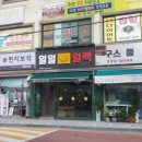 일일일맥
