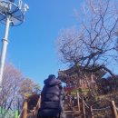 석남약수터 | 인천 원적산 등산하기(석남약수터 -원적산공원-팔각정)