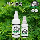 카인블랙 차량용 탈취제 솔직 후기 - 진짜 매일 쓰게 되는 필수템!