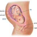 태교 : 임신 31주 이미지