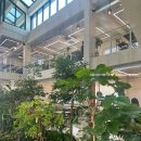 모꼬지마을 이미지