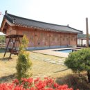 나무와흙 이미지