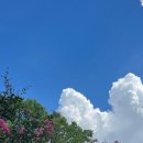 NR-24[충정로]-하-21 | 먹짱들의 대전 당일치기 2탄