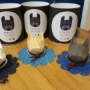 스파츄스 이미지