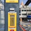 카미 플랙스 이미지