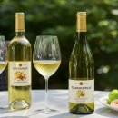 (주)트랜드이슈 이미지