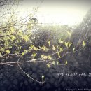 햇살가득한 이미지